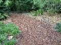 Mulch pathway